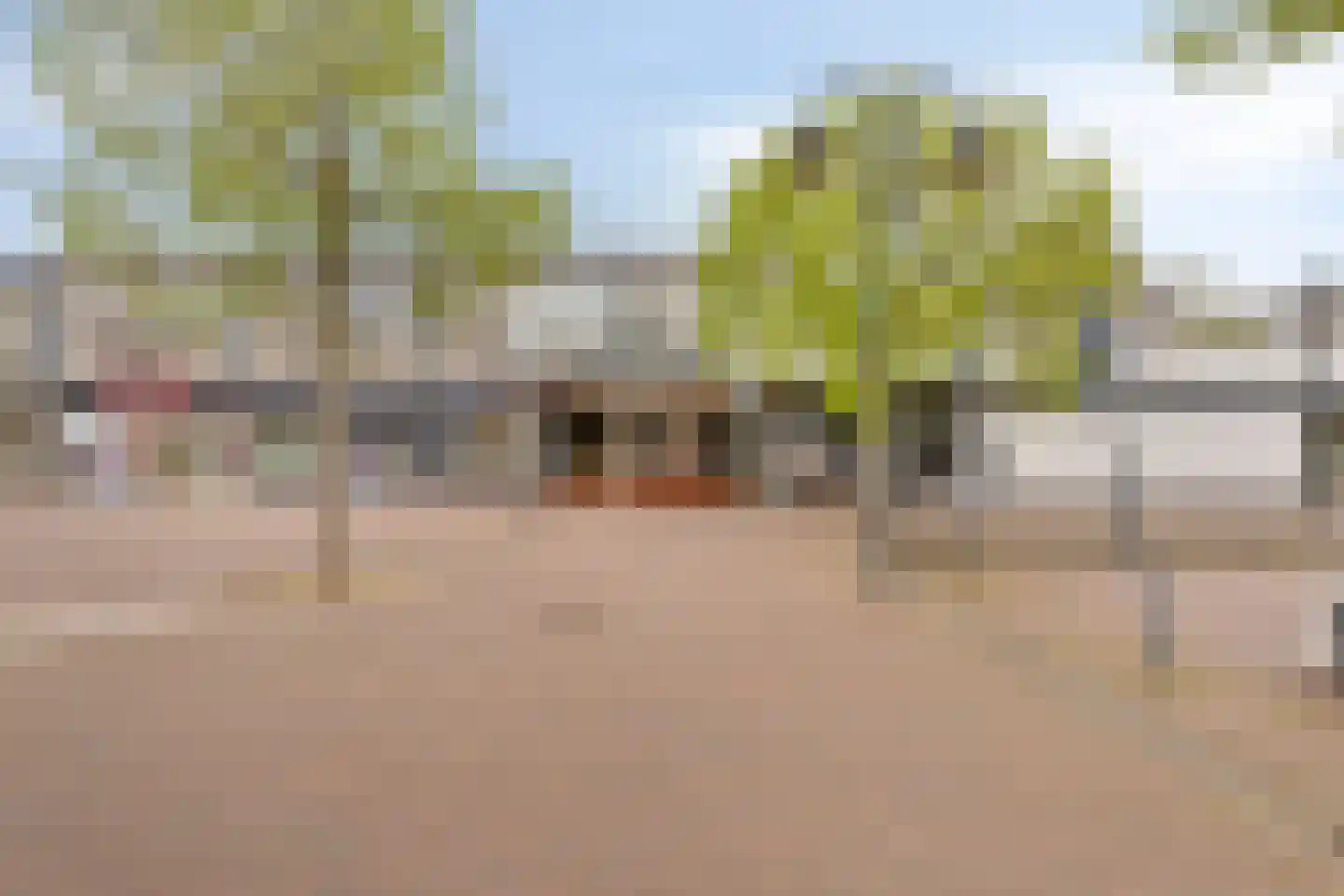 Meijerijstraat 11 Veghel thumbnail 30