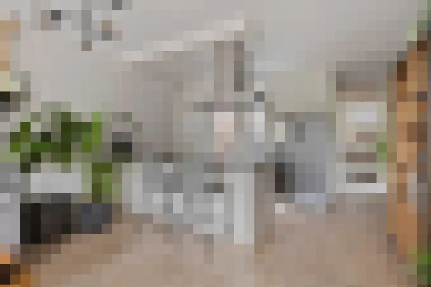 Meijerijstraat 11 Veghel thumbnail 4