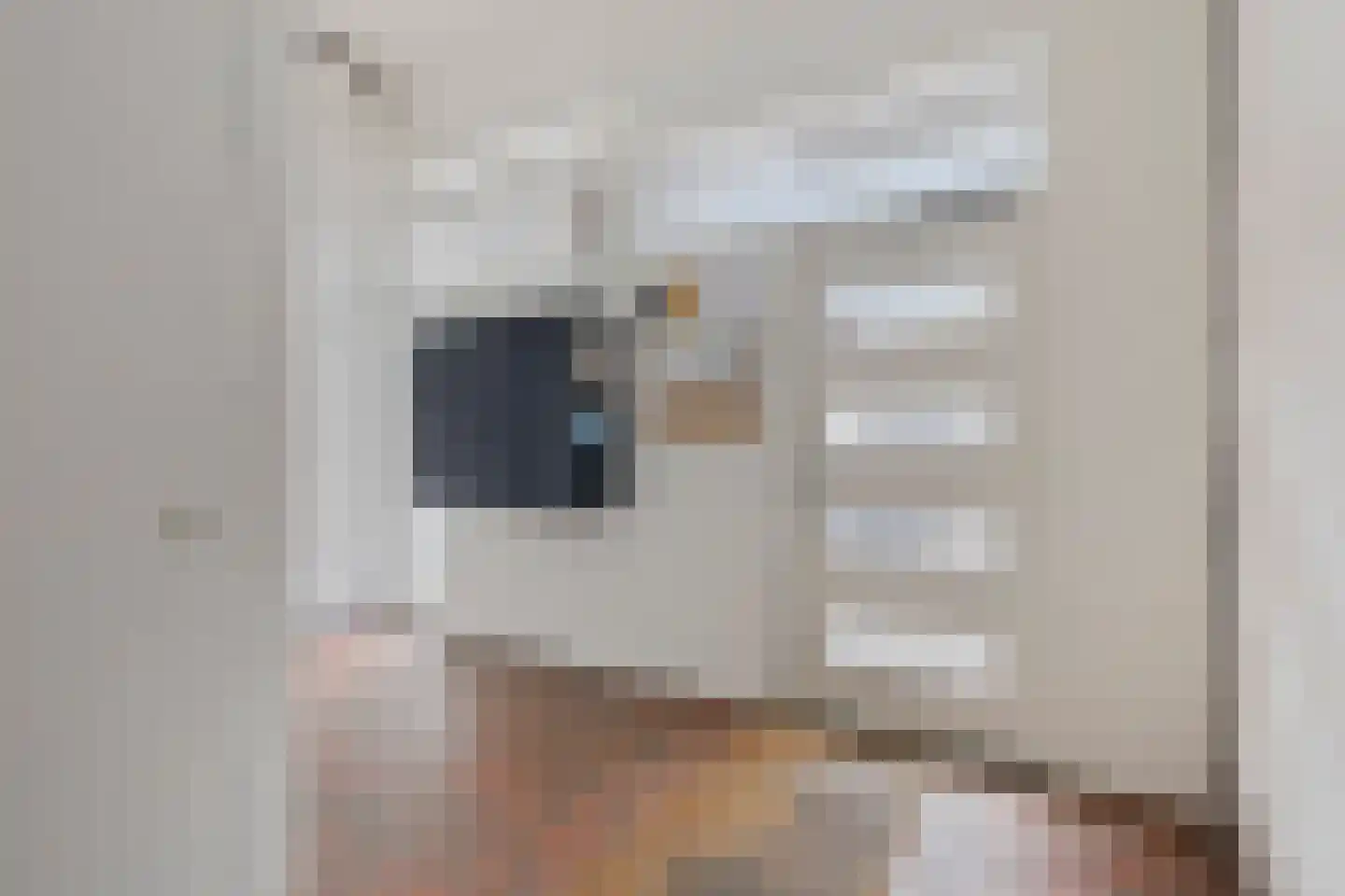 Meijerijstraat 11 Veghel thumbnail 6