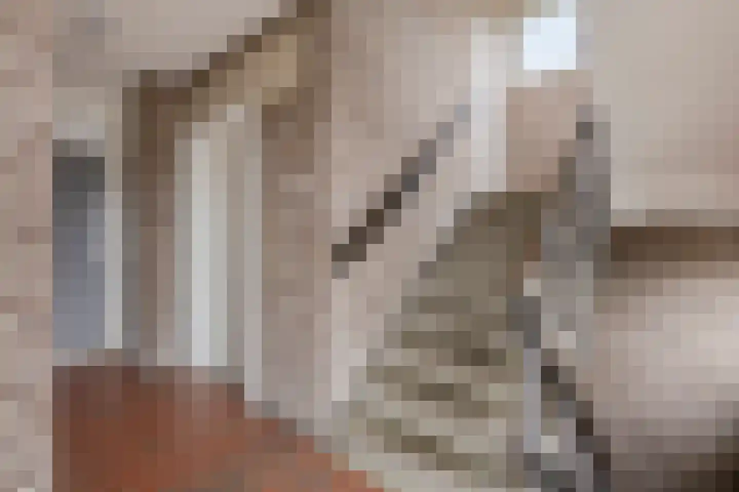 Meijerijstraat 11 Veghel thumbnail 7