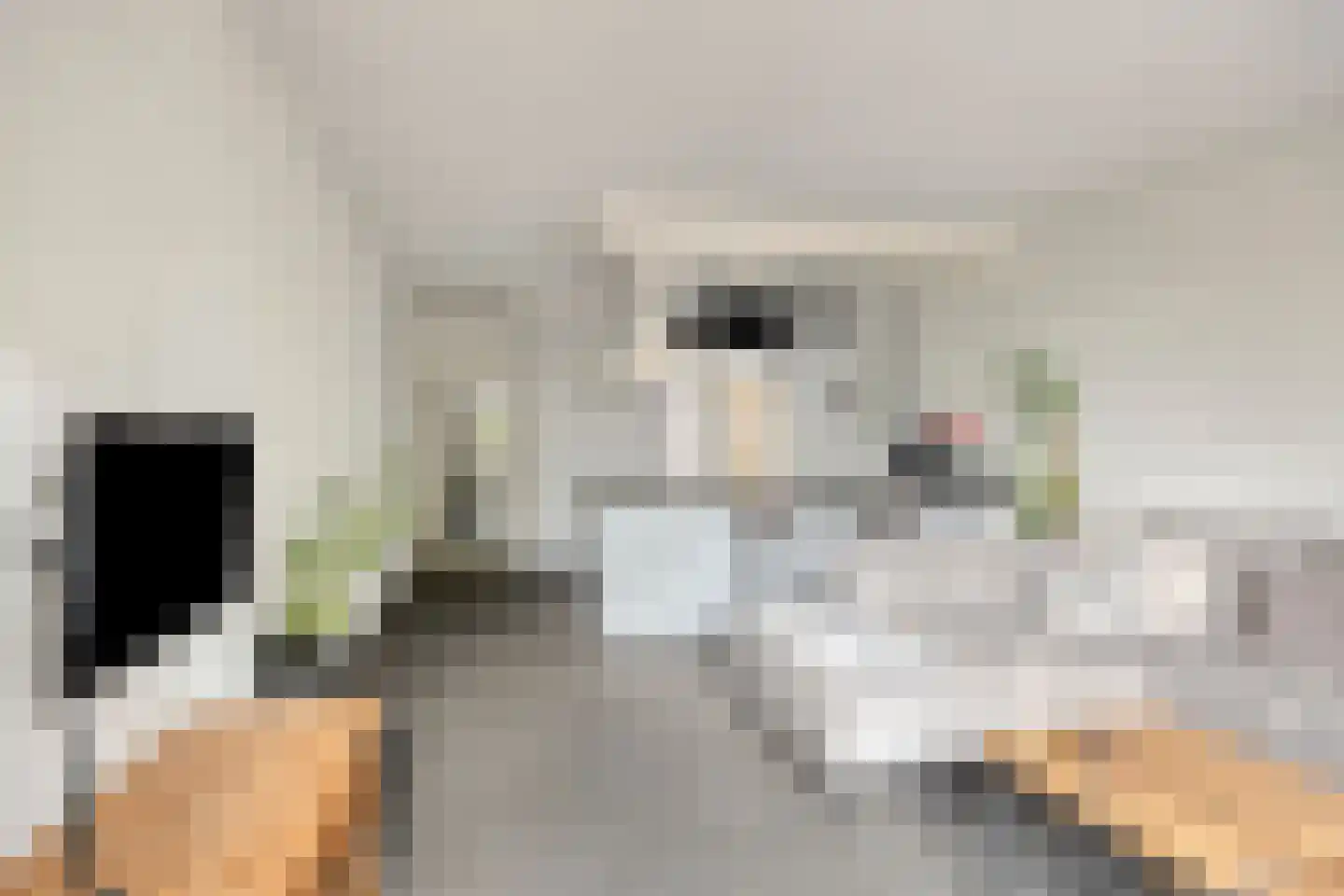 Meijerijstraat 12 Veghel thumbnail 10