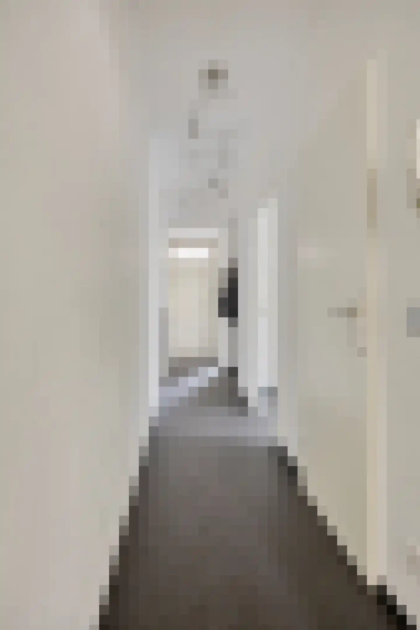 Meijerijstraat 12 Veghel thumbnail 14