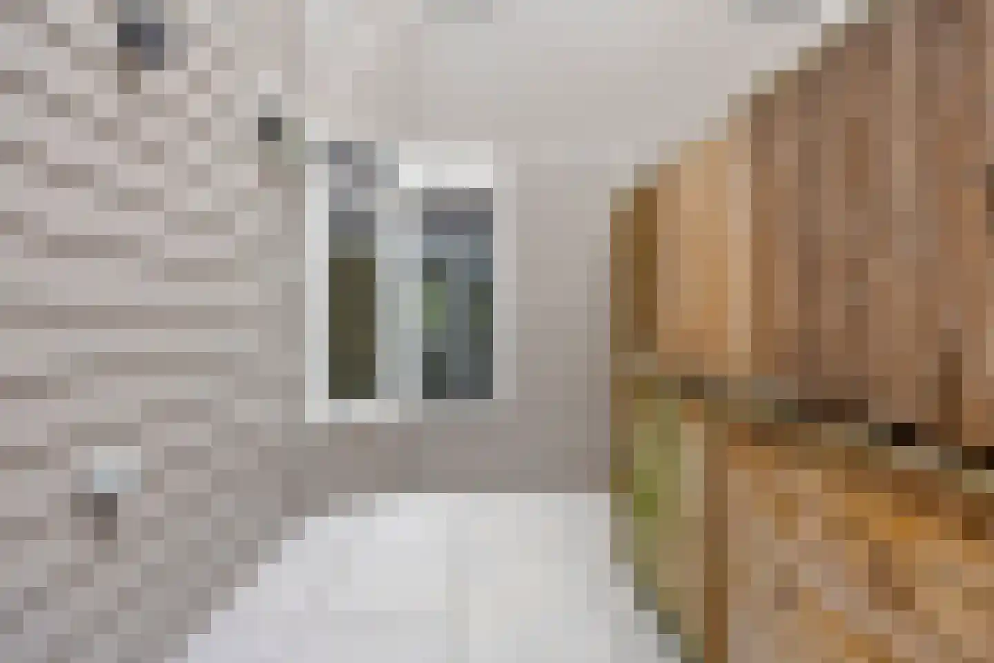 Meijerijstraat 12 Veghel thumbnail 17