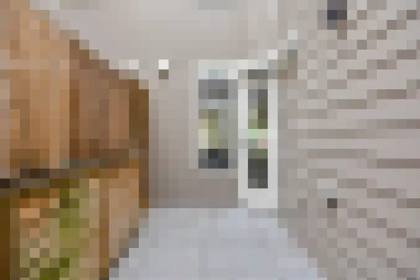 Meijerijstraat 12 Veghel thumbnail 18