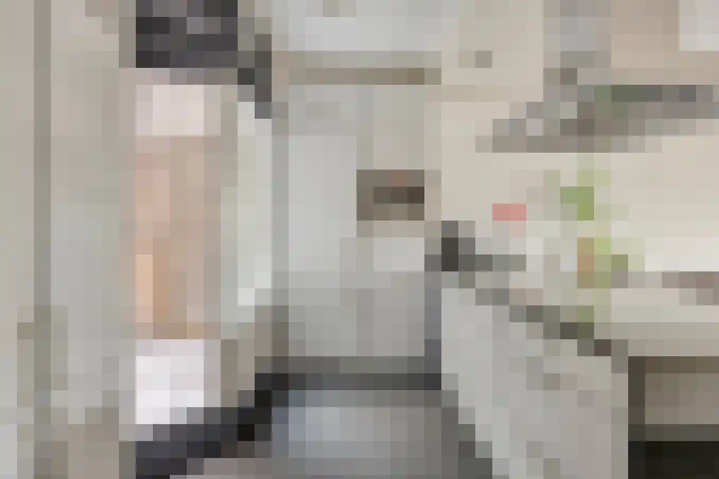 Meijerijstraat 12 Veghel thumbnail 7