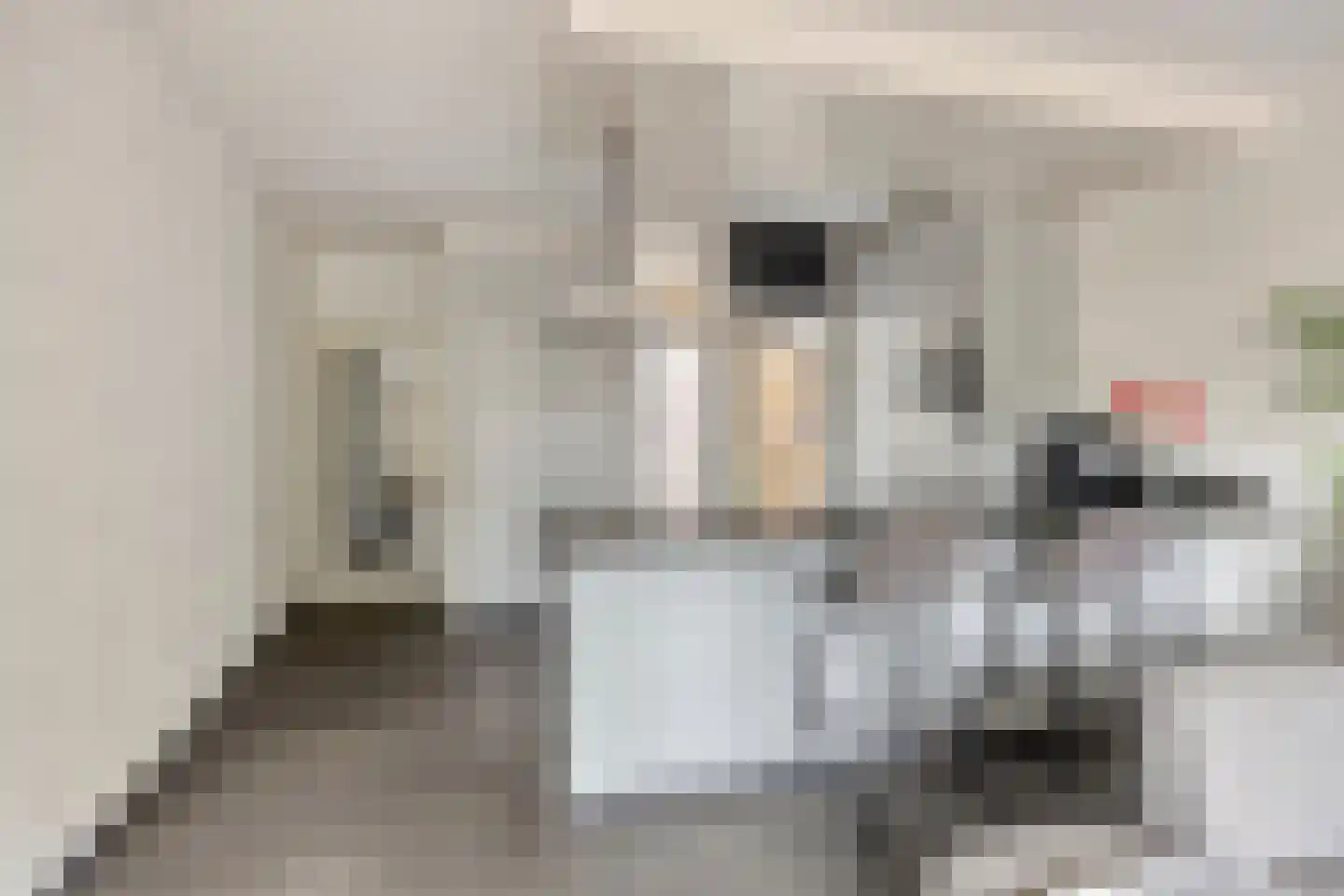 Meijerijstraat 12 Veghel thumbnail 8