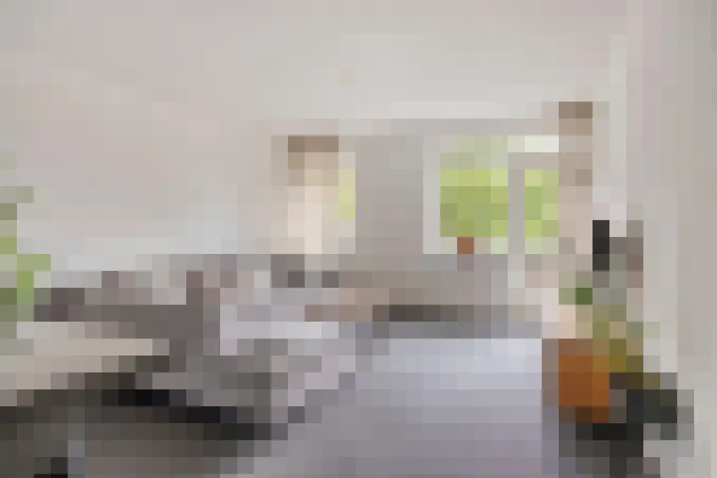 Meijerijstraat 12 Veghel thumbnail 9