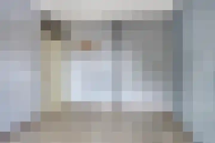 Meijerijstraat 13 Veghel thumbnail 15