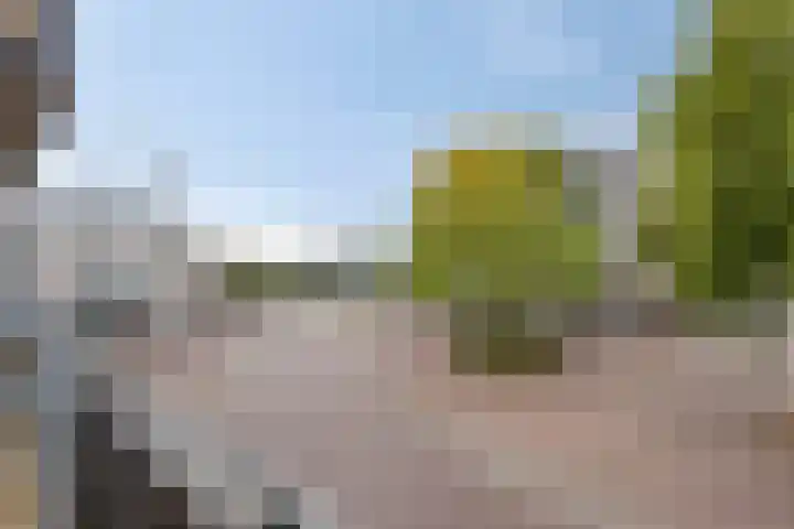 Meijerijstraat 13 Veghel thumbnail 22