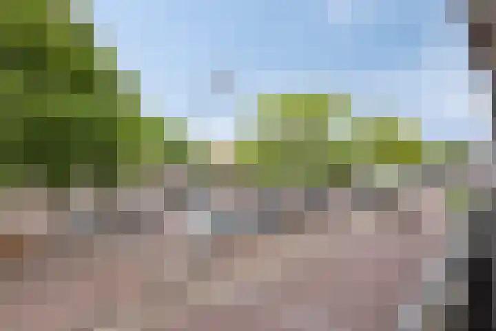 Meijerijstraat 13 Veghel thumbnail 23