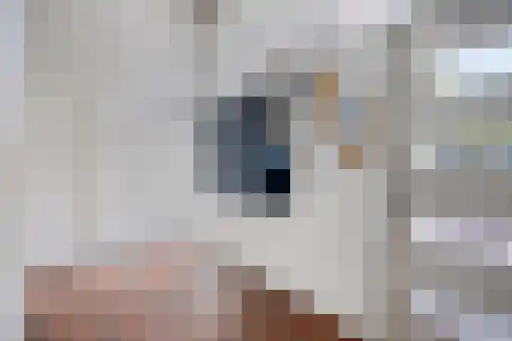Meijerijstraat 13 Veghel thumbnail 31