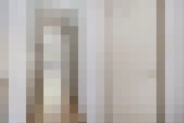 Meijerijstraat 13 Veghel thumbnail 5