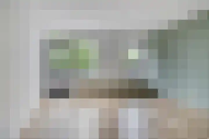 Meijerijstraat 13 Veghel thumbnail 7