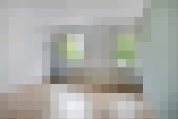 Meijerijstraat 13 Veghel thumbnail 9