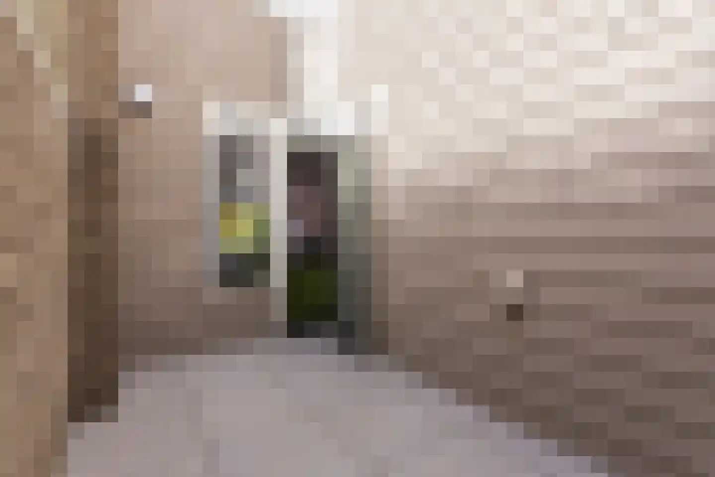 Meijerijstraat 14 Veghel thumbnail 18