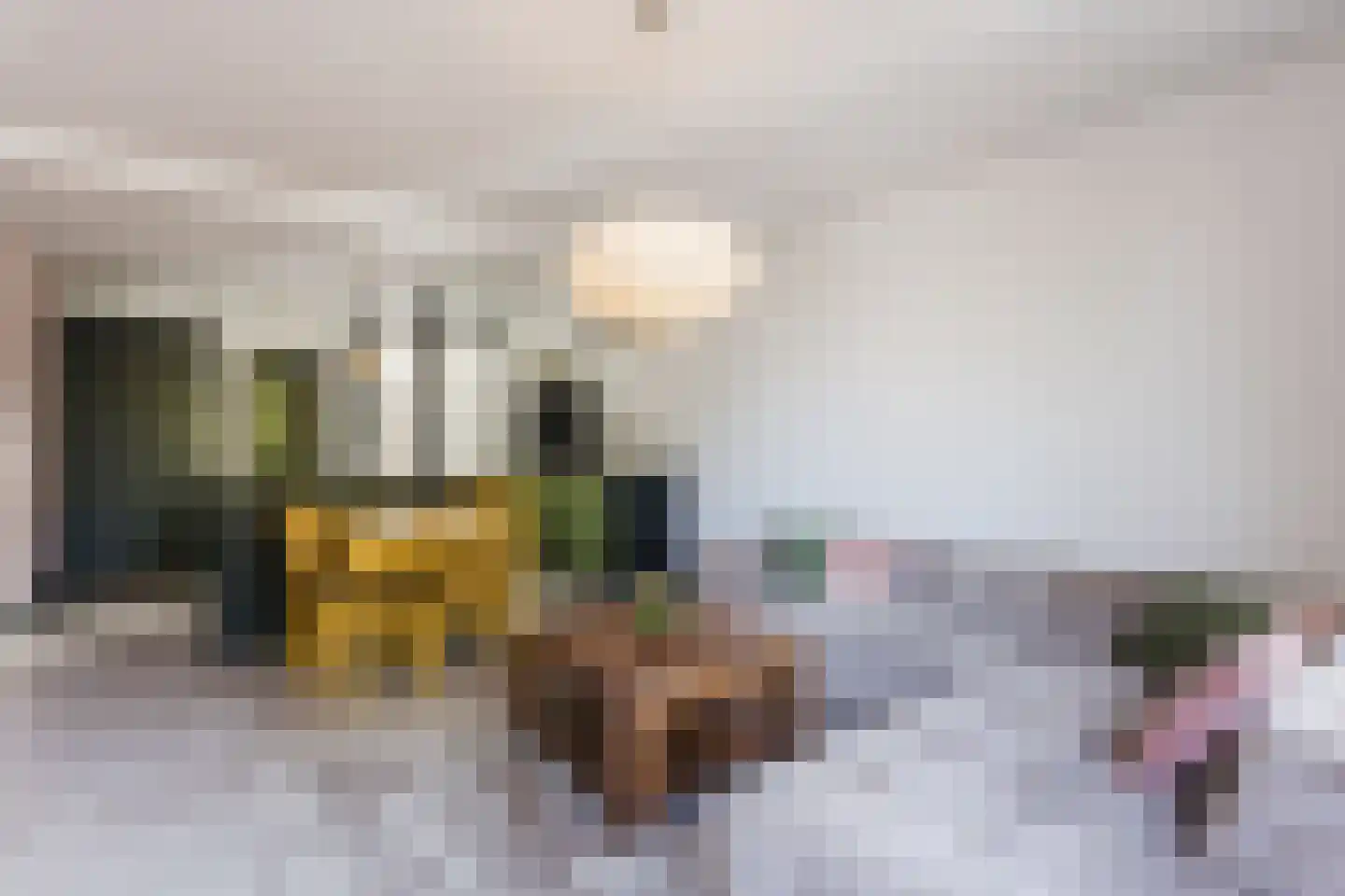 Meijerijstraat 14 Veghel thumbnail 6