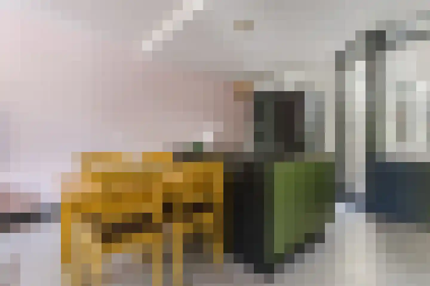 Meijerijstraat 14 Veghel thumbnail 8