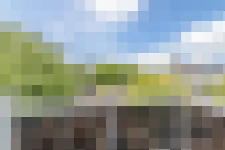 Meijerijstraat 19 Veghel thumbnail 18