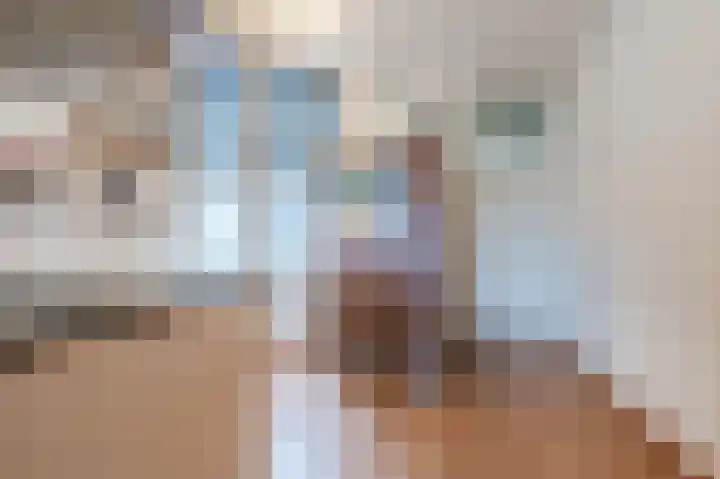 Meijerijstraat 19 Veghel thumbnail 5