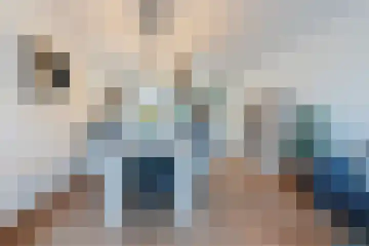 Meijerijstraat 19 Veghel thumbnail 6