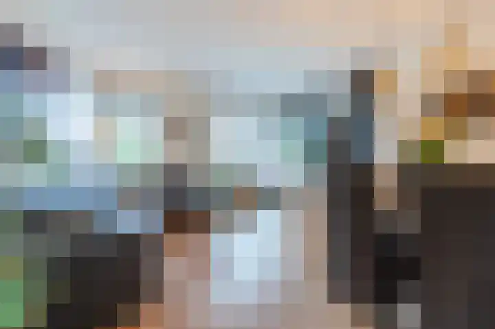Meijerijstraat 19 Veghel thumbnail 7