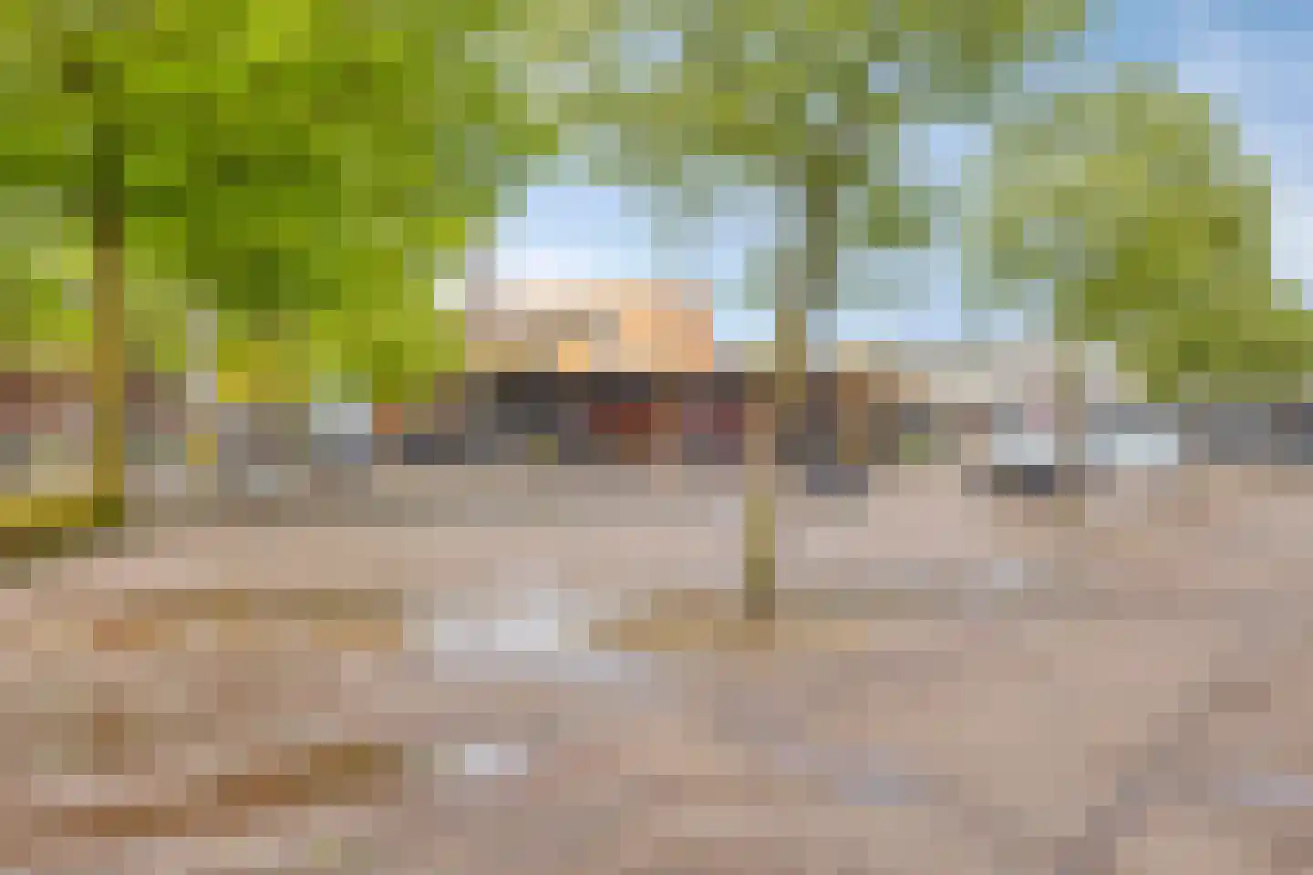 Meijerijstraat 21 Veghel thumbnail 28