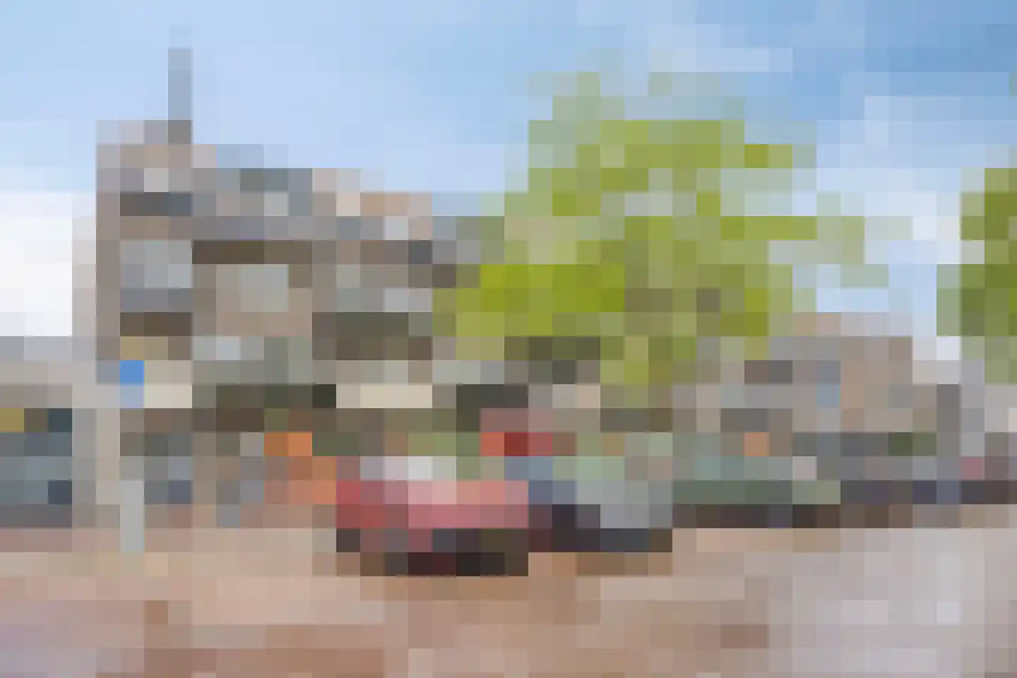Meijerijstraat 21 Veghel thumbnail 30