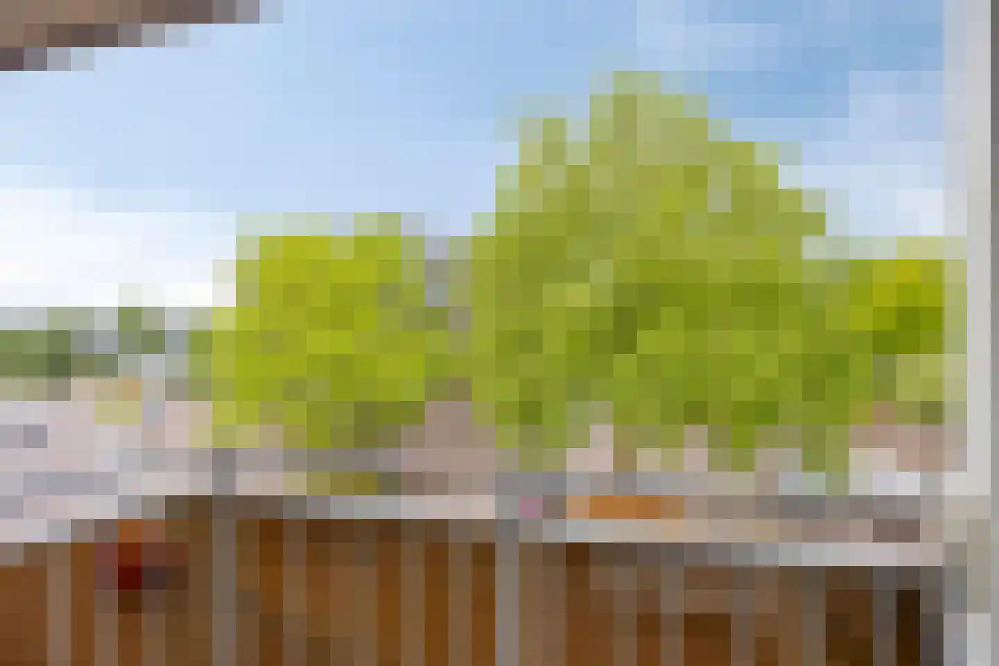 Meijerijstraat 21 Veghel thumbnail 4