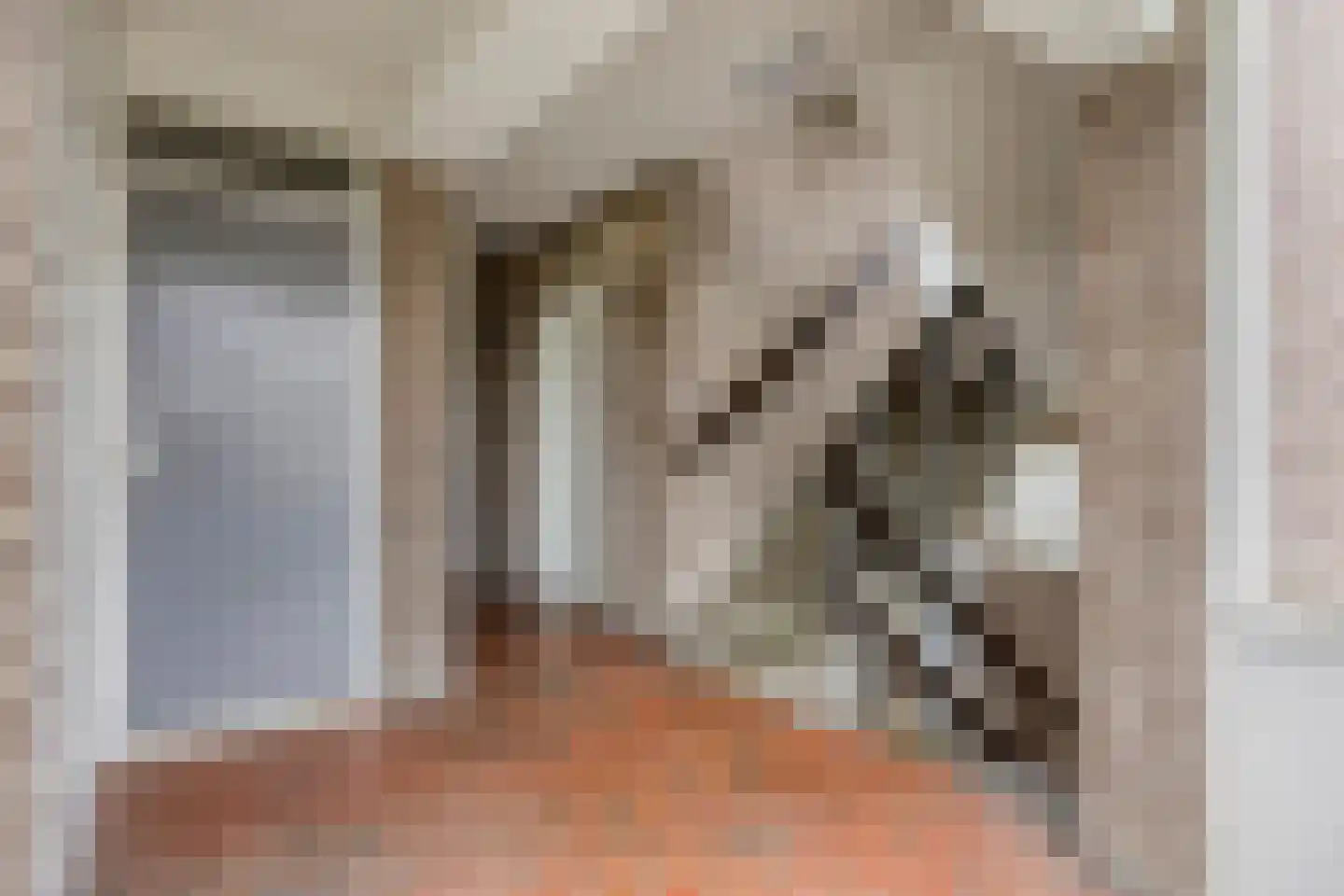 Meijerijstraat 21 Veghel thumbnail 5