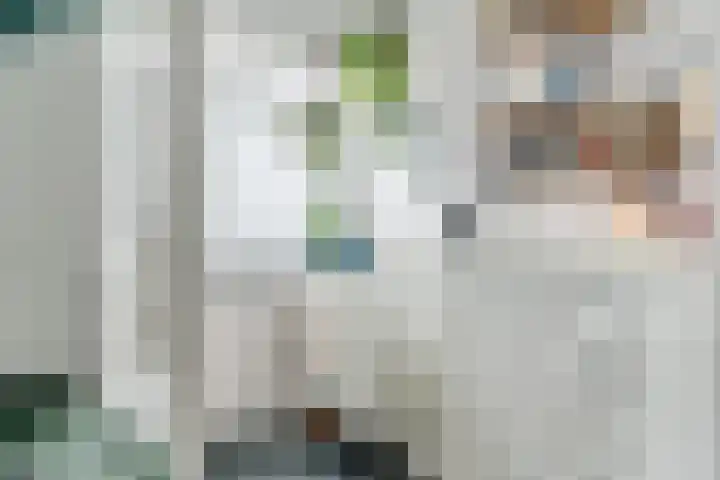 Meijerijstraat 23 Veghel thumbnail 22