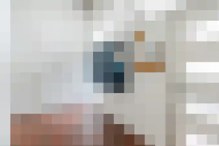Meijerijstraat 23 Veghel thumbnail 5