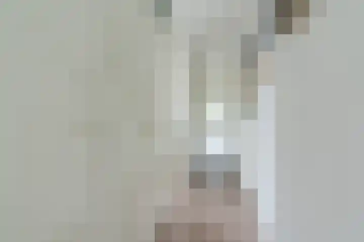 Meijerijstraat 23 Veghel thumbnail 8