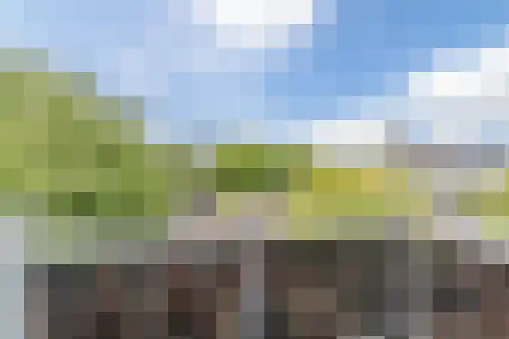Meijerijstraat 27 Veghel thumbnail 25
