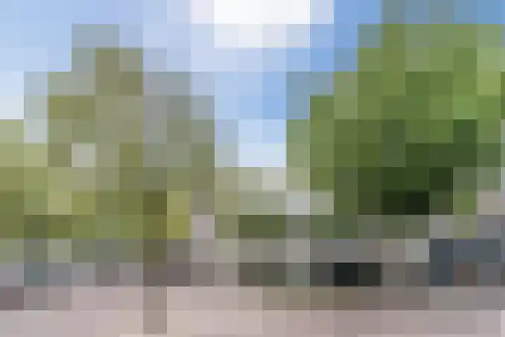 Meijerijstraat 27 Veghel thumbnail 33