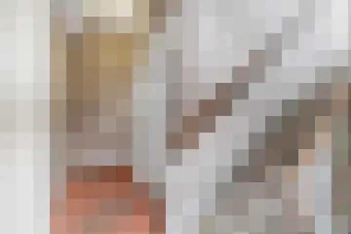 Meijerijstraat 27 Veghel thumbnail 8