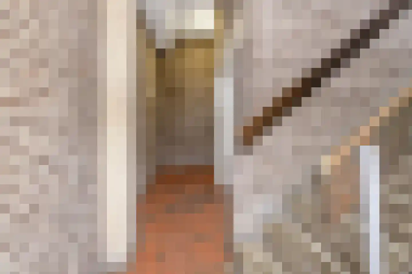 Meijerijstraat 28 Veghel thumbnail 11