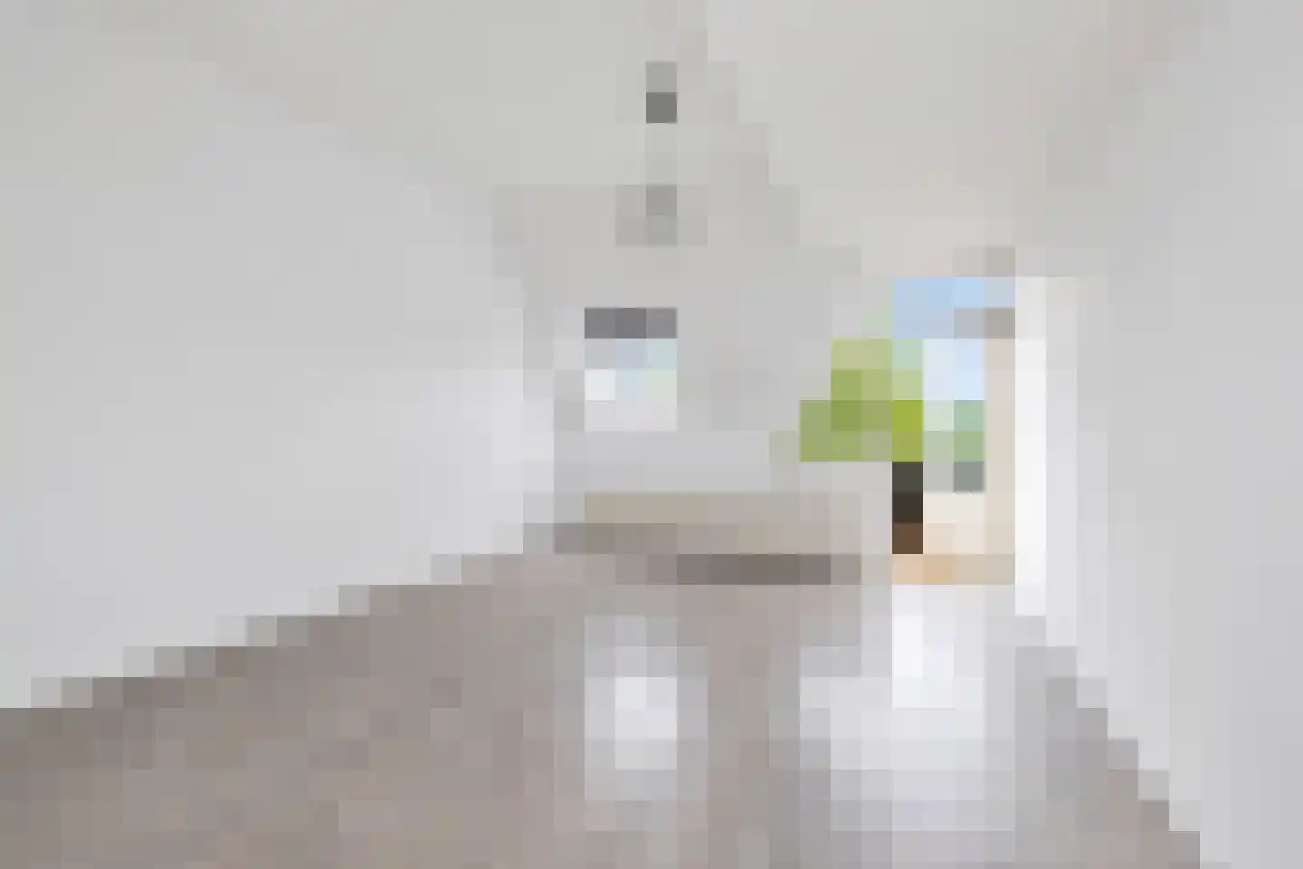 Meijerijstraat 28 Veghel thumbnail 19