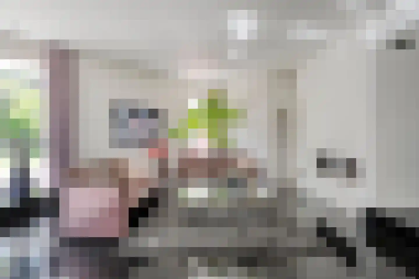 Meijerinksberg 15 Wierden thumbnail 16