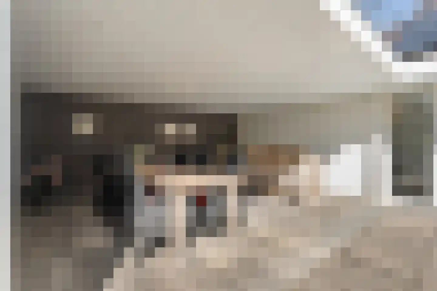 Meijerinksberg 15 Wierden thumbnail 38