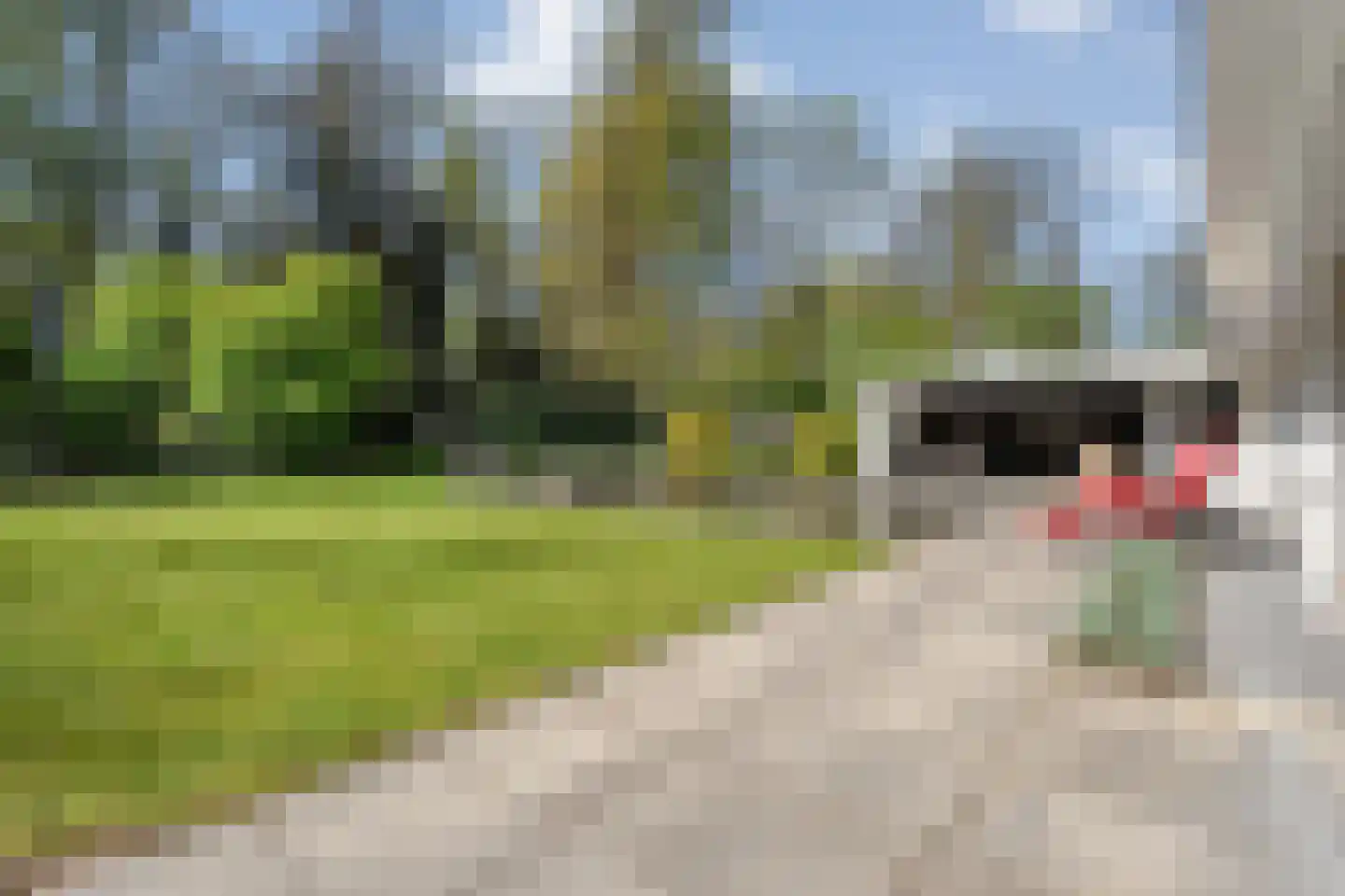 Meijerinksberg 15 Wierden thumbnail 40