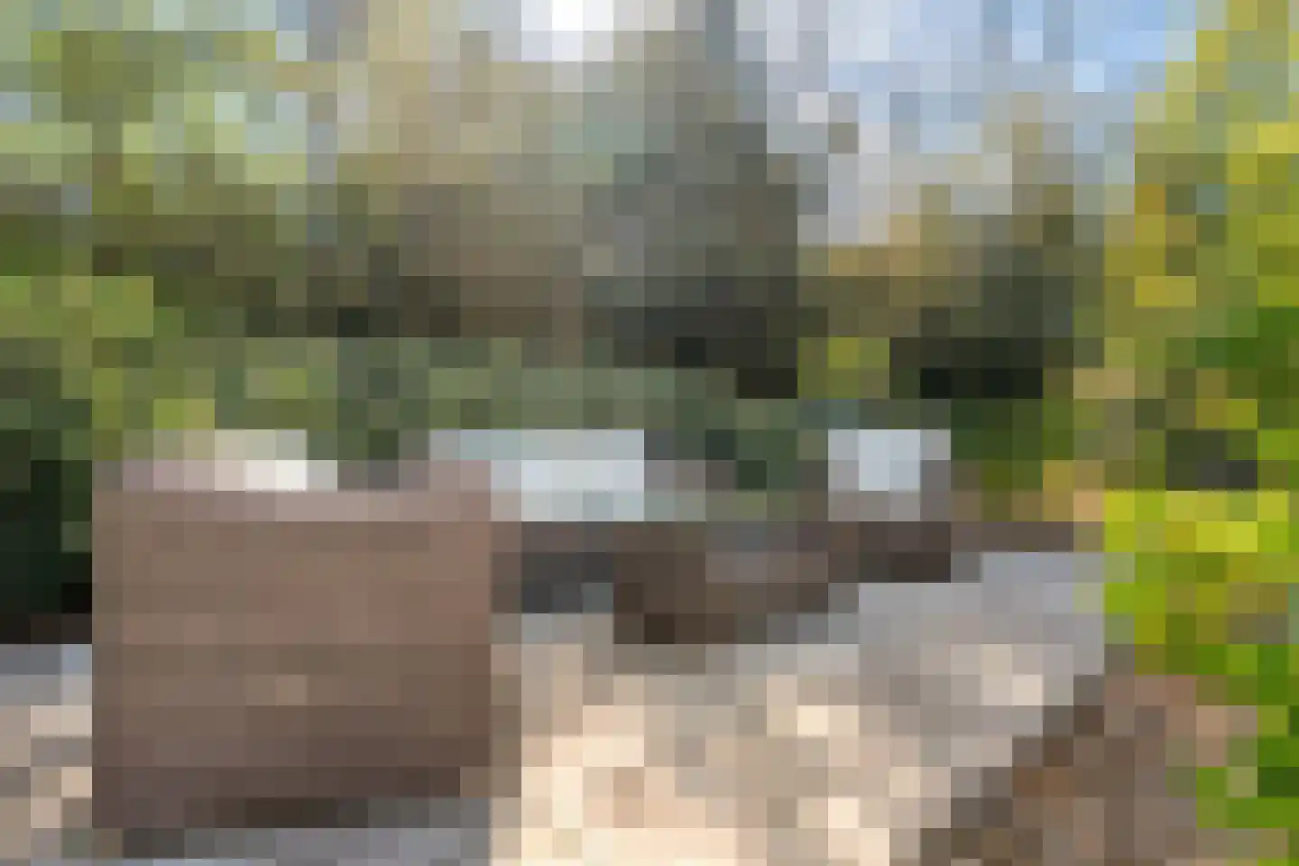 Meijerinksberg 15 Wierden thumbnail 42
