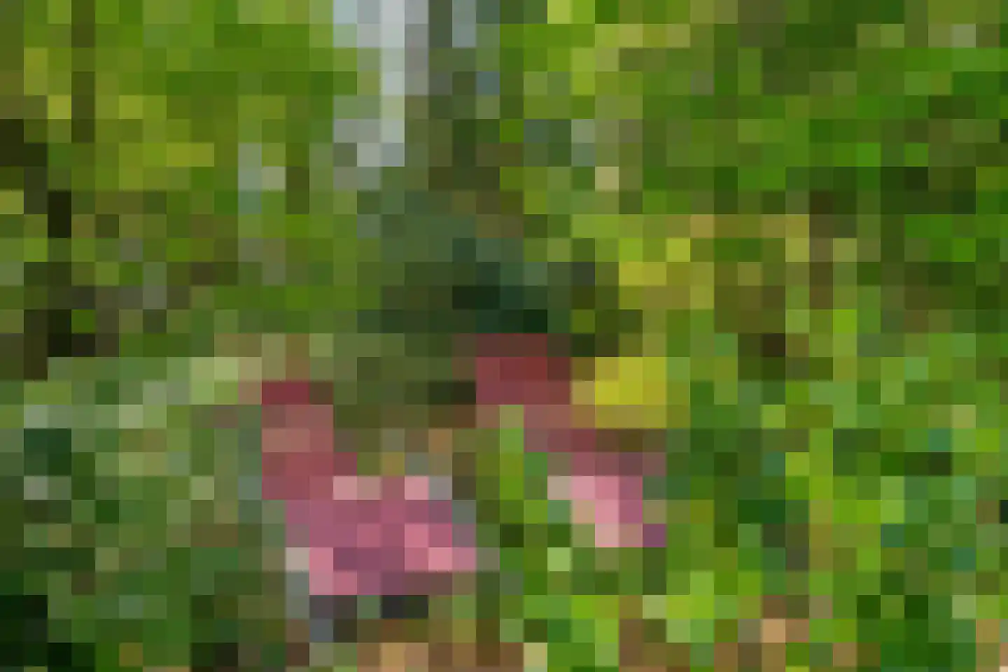 Meijerinksberg 15 Wierden thumbnail 45