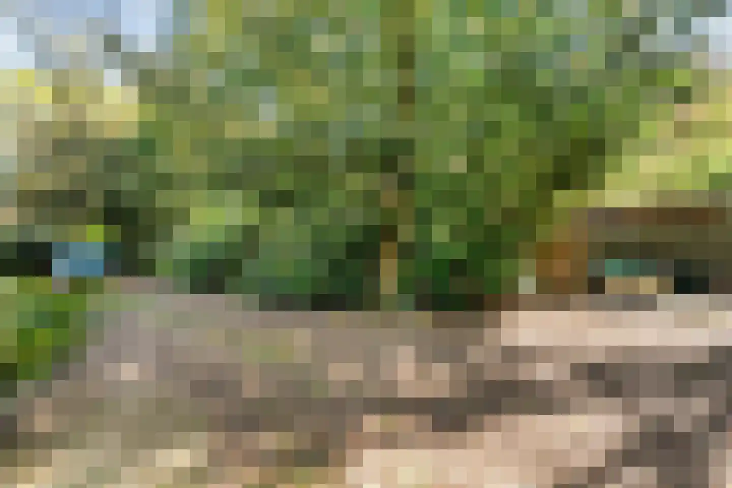 Meijerinksberg 15 Wierden thumbnail 47