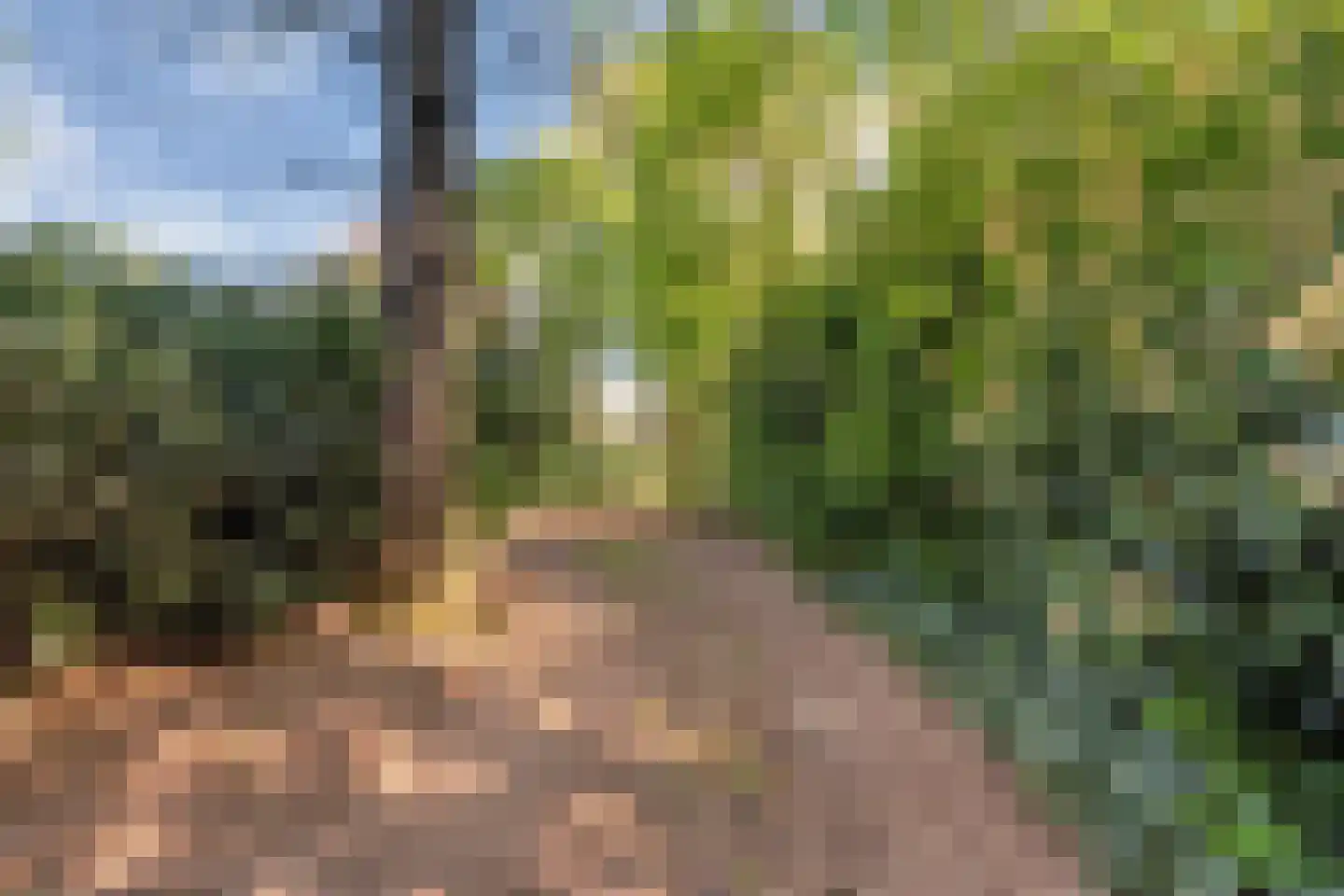 Meijerinksberg 15 Wierden thumbnail 48