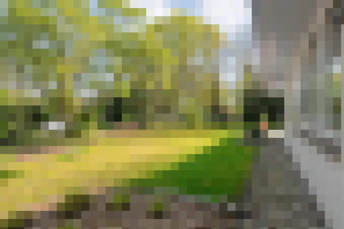 Meijerinksberg 15 Wierden thumbnail 51