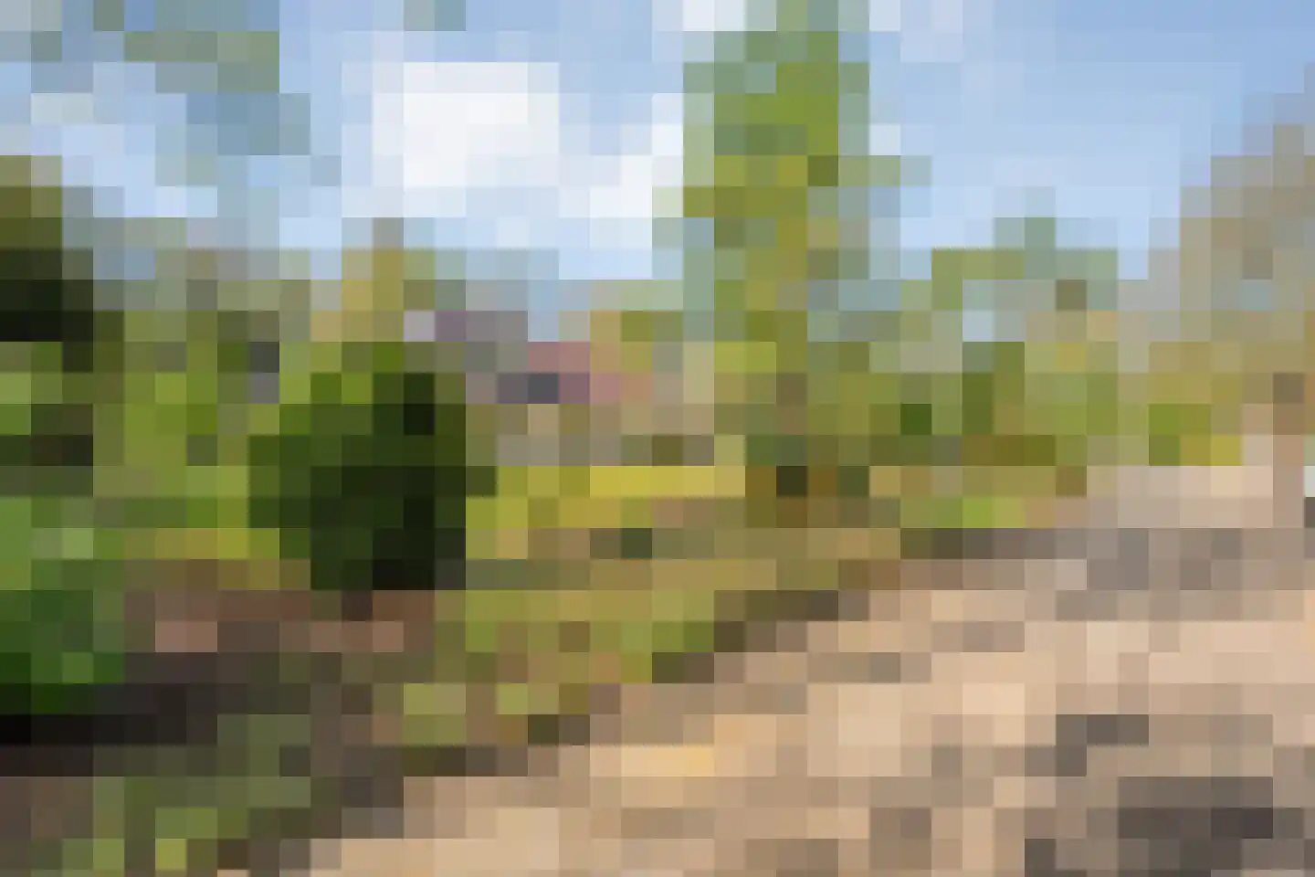 Meijerinksberg 15 Wierden thumbnail 57