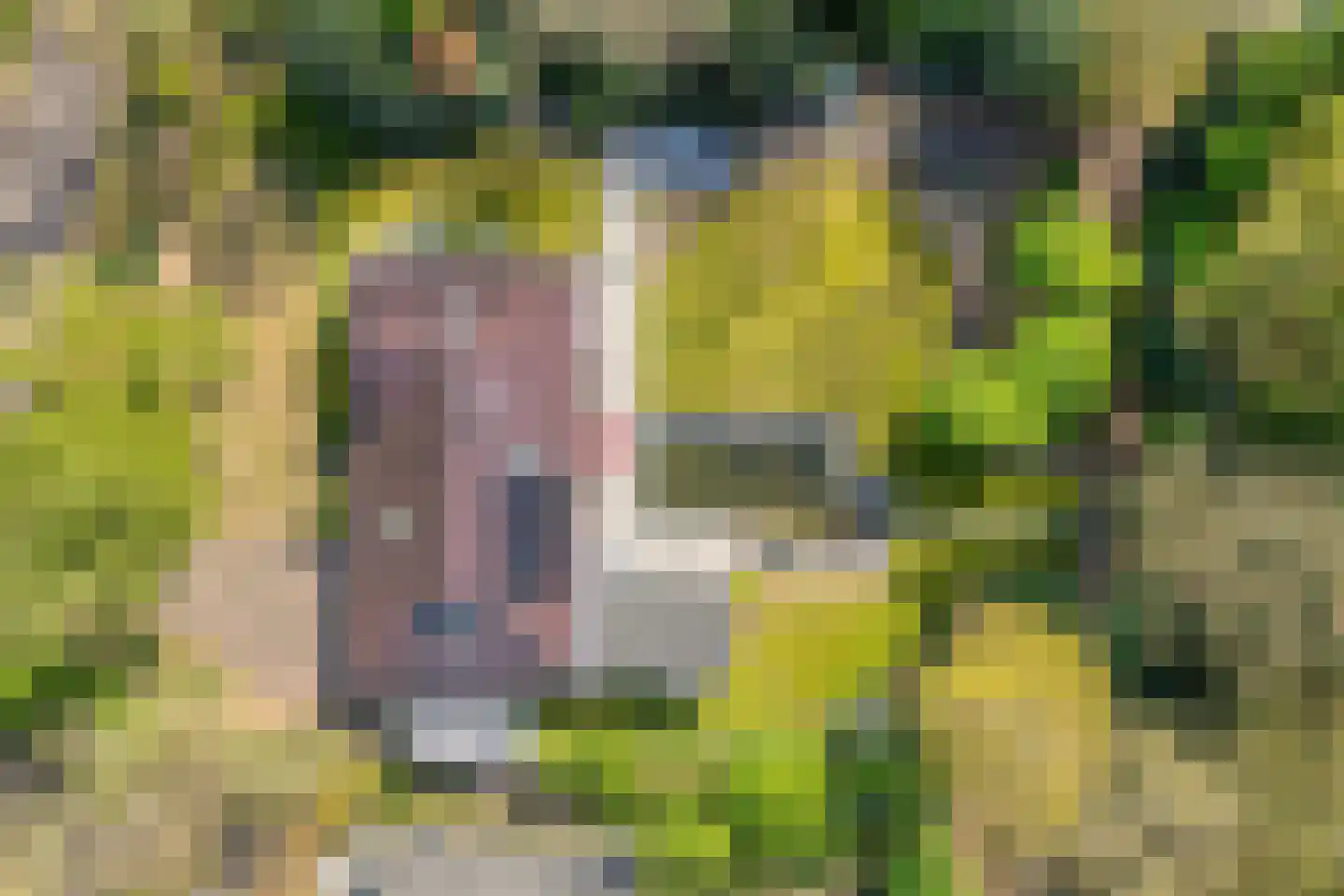 Meijerinksberg 15 Wierden thumbnail 58