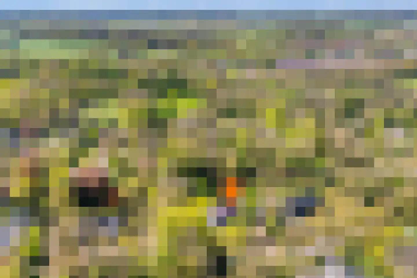 Meijerinksberg 15 Wierden thumbnail 59