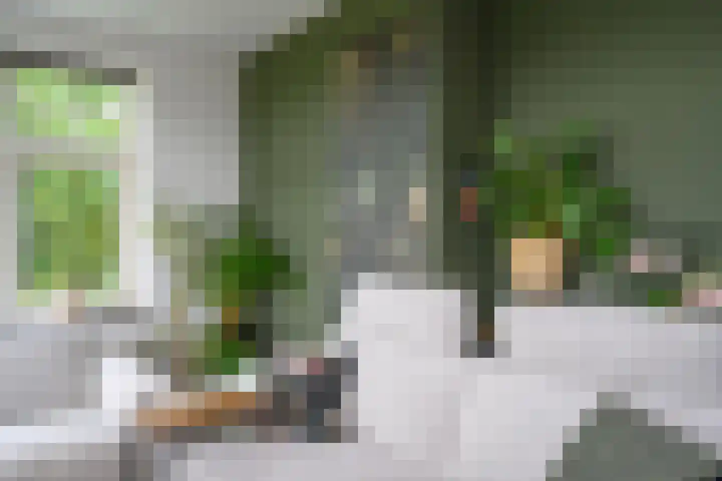 Meijerinkstraat 28 Eefde thumbnail 7