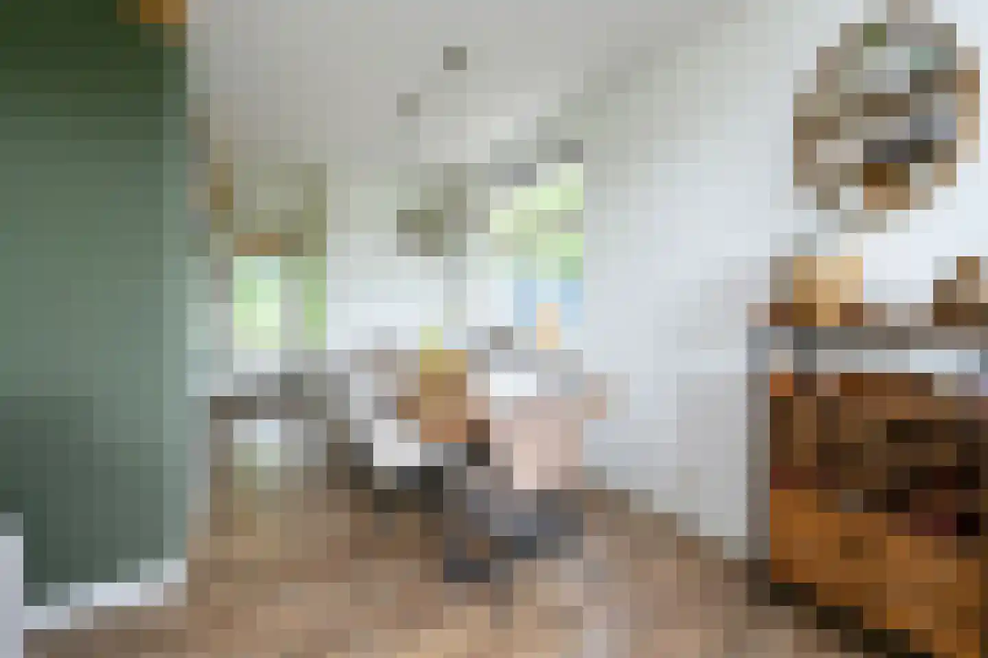 Meijerinkstraat 28 Eefde thumbnail 8